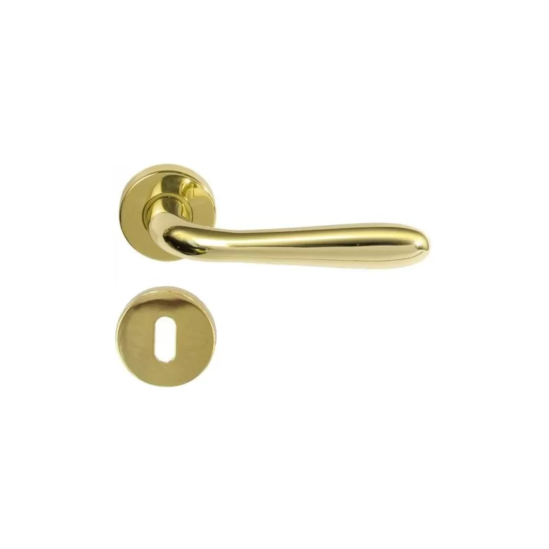 COPPIA MANIGLIA PER PORTA INTERNA IN ALLUMINIO CON ROSETTA DIAMETRO 45 MM MODELLO AGNONE ORO LUCIDO - Art. F0322 R8 40
