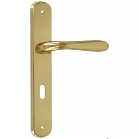 COPPIA MANIGLIA PER PORTA INTERNA CON PLACCA 70 MM MODELLO GOCCIA ORO LUCIDO - Art. PL06P70-Z1C