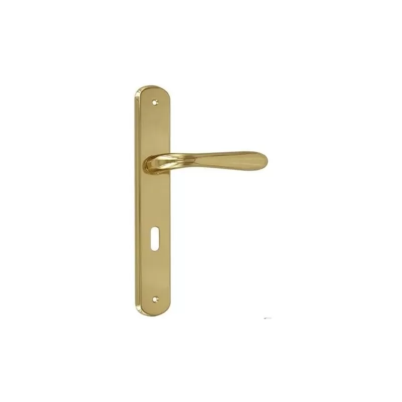 COPPIA MANIGLIA PER PORTA INTERNA CON PLACCA 70 MM MODELLO GOCCIA ORO LUCIDO - Art. PL06P70-Z1C