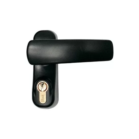 Iseo MANIGLIA CON CILINDRO PER MANIGLIONE ANTIPANICO 94021005 - Art. 15186