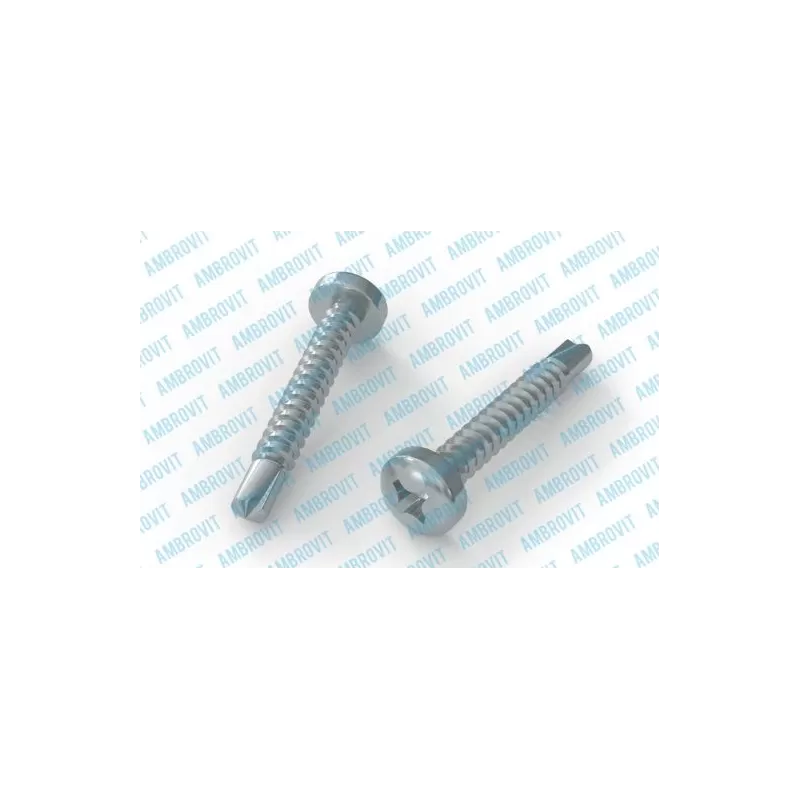 AMBROVIT VITI AUTOPERFORANTI 3,5X13 MM TESTA CILINDRICA PH2 ZINCATE 1000 PEZZI