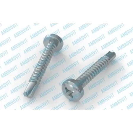 AMBROVIT VITI AUTOPERFORANTI 3,9X22 MM TESTA CILINDRICA PH2 ZINCATE 1000 PEZZI