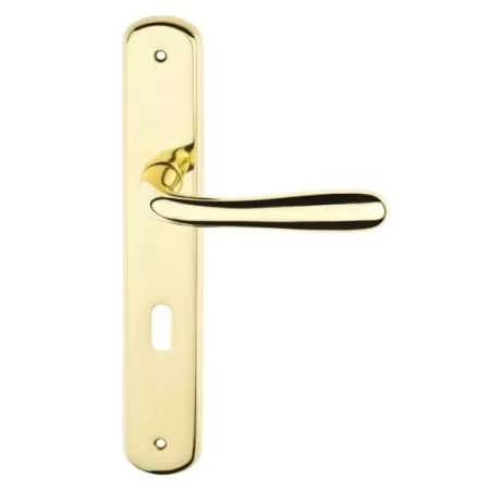 coppia maniglia per porta interna colore oro frosio bortolo made in italy, maniglia italiana al miglior prezzo, maniglia per por