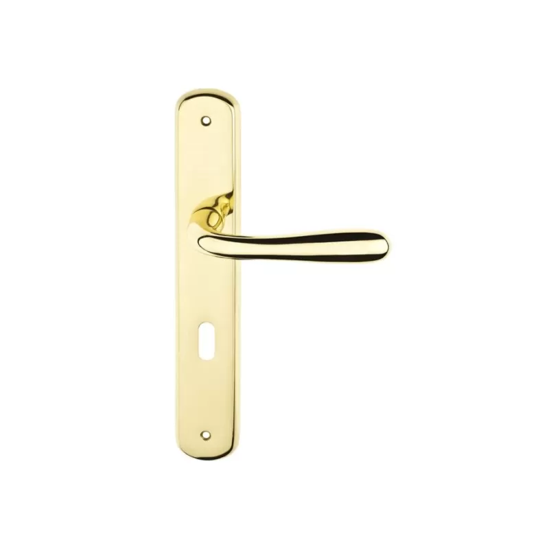 coppia maniglia per porta interna colore oro frosio bortolo made in italy, maniglia italiana al miglior prezzo, maniglia per por