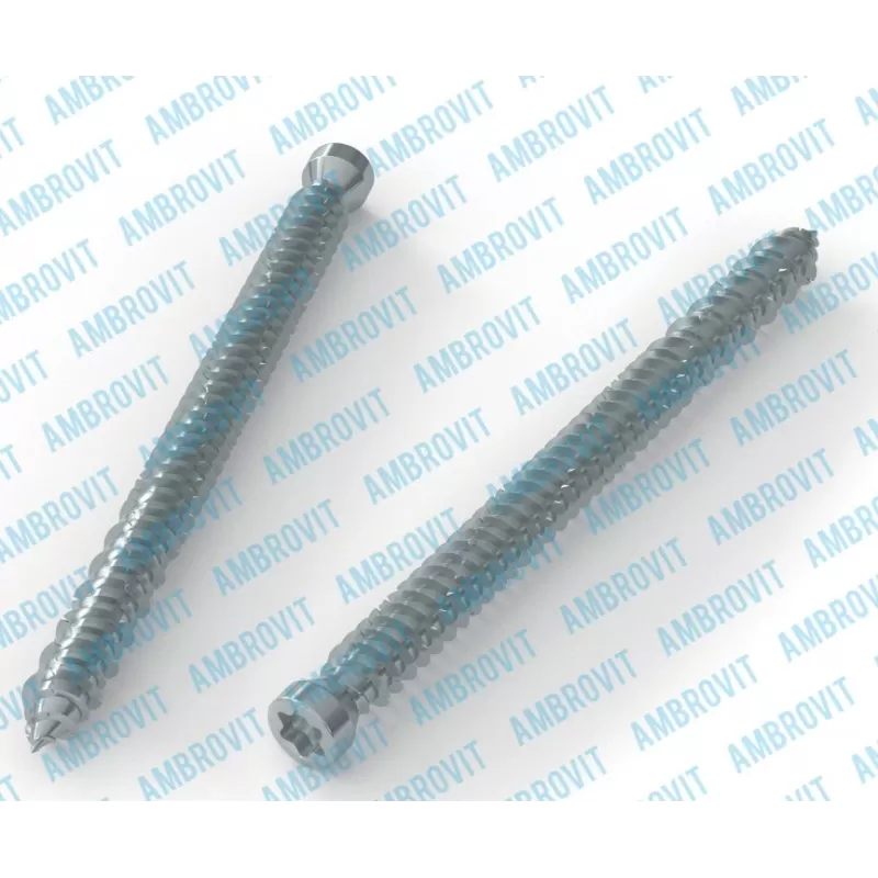 Ambrovit VITI PER CALCESTRUZZO TESTA CILINDRICA 7,5X132 MM TX30 ZINCATE PEZZI 100* Art.07062 7,5X132 TG51
Viti per Cemento 7,5x