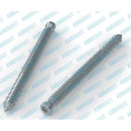 Ambrovit VITI PER CALCESTRUZZO TESTA CILINDRICA 7,5X122 MM TX30 ZINCATE PEZZI 100* Art.07062 7,5X122 TG51
Viti per Cemento 7,5x