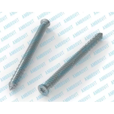 Ambrovit VITI PER CALCESTRUZZO TESTA SVASATA PIANA 7,5X92 MM TX30 PEZZI 100* Art.07072 7,5X92 TG 51
Viti per Cemento 7,5x92 Tor
