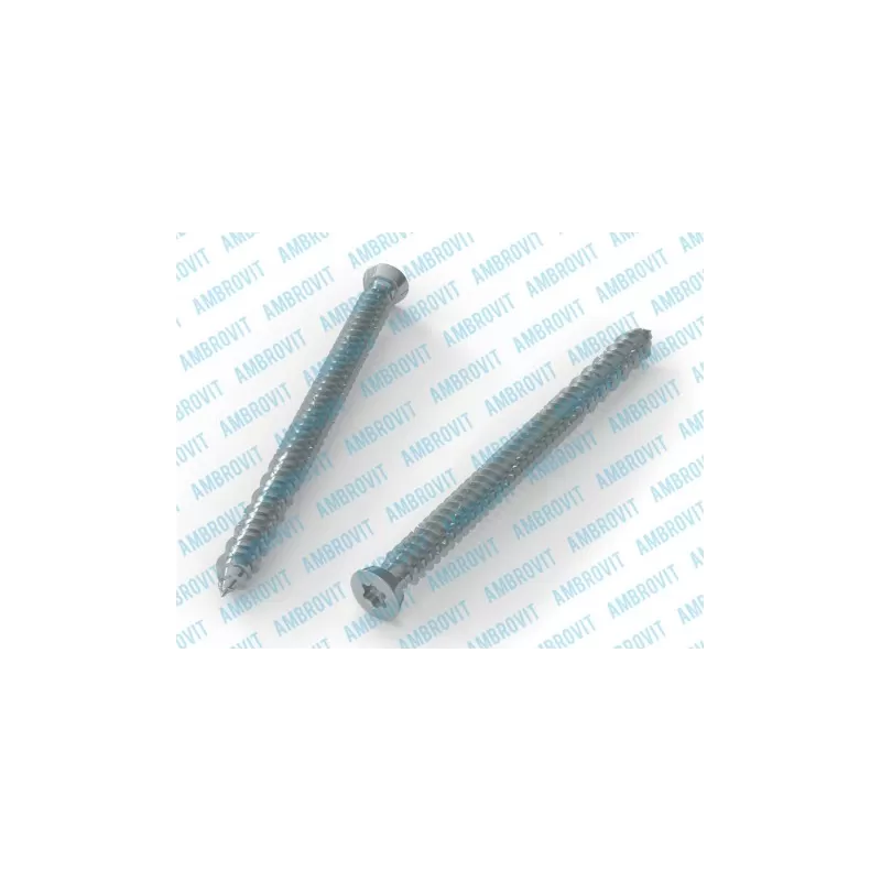 Ambrovit VITI PER CALCESTRUZZO TESTA SVASATA PIANA 7,5X92 MM TX30 PEZZI 100* Art.07072 7,5X92 TG 51
Viti per Cemento 7,5x92 Tor