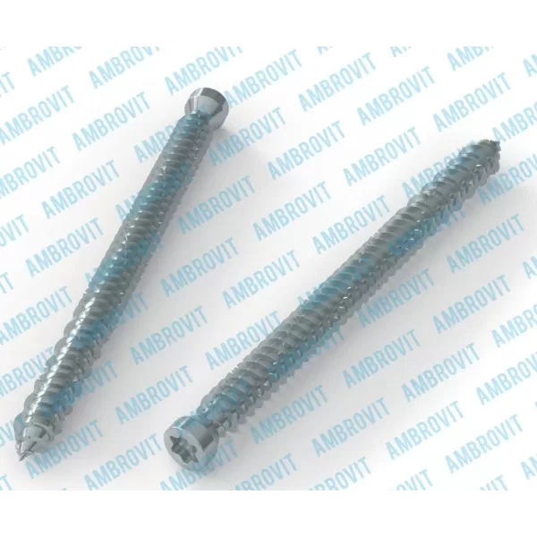 Ambrovit VITI PER CALCESTRUZZO TESTA CILINDRICA 7,5X182 MM TX30 ZINCATE PEZZI 100* Art.07062 7,5X182 TG51

Viti per Cemento 7,