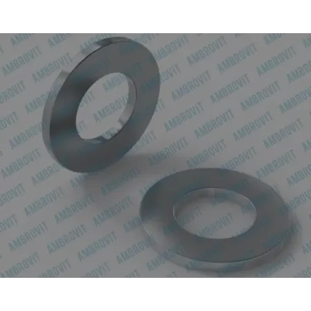 Ambrovit RONDELLA PIANA M 30 PZ 100* Art.12500 M30 TG51
 Rondelle piane diametro 30 AMBROVIT 12500