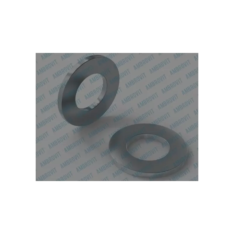 Ambrovit RONDELLA PIANA M 30 PZ 100* Art.12500 M30 TG51
 Rondelle piane diametro 30 AMBROVIT 12500