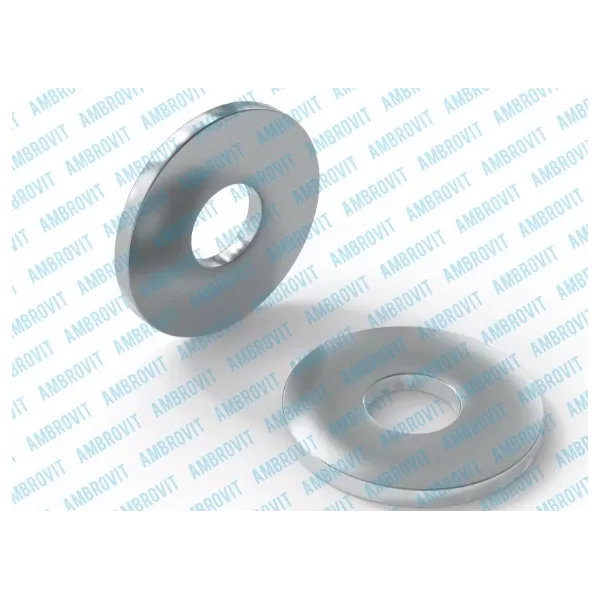 <p>Ambrovit RONDELLA PIANA PER LEGNO M 24 PZ 25 - Art. 44077 M24 TG51</p>
Rondelle piane per legno diametro 24 zincate AMBROVIT