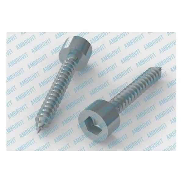 Ambrovit VITI AUTOFILETTANTI TESTA CILINDRICA ESAGONO INCASSATO 4,8X16 MM PZ 500* - Art. 79870 4,8X16 TG51