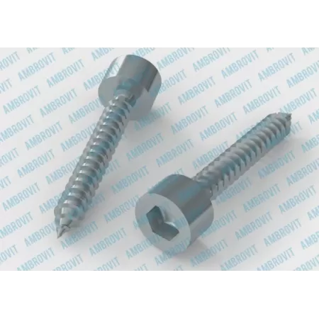 Ambrovit VITI AUTOFILETTANTI TESTA CILINDRICA ESAGONO INCASSATO 4,8X25 MM PZ 500* - Art. 79870 4,8X25 TG51