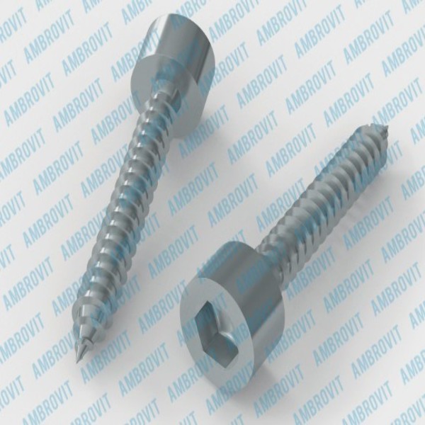 Ambrovit VITI AUTOFILETTANTI TESTA CILINDRICA ESAGONO INCASSATO 4,8X70 MM PZ 200* - Art. 79870 4,8X70 TG51