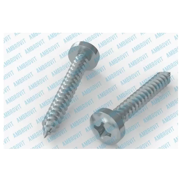 Ambrovit VITI AUTOFILETTANTI 5,5X16 MM TESTA CILINDRICA PH ZINCATE PZ 1000 - Art. 79810 5,5X16 TG51