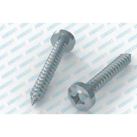 Ambrovit VITI AUTOFILETTANTI 6,3X13 MM TESTA CILINDRICA PH ZINCATE PZ 500 - Art. 79810 6,3X13 TG51
