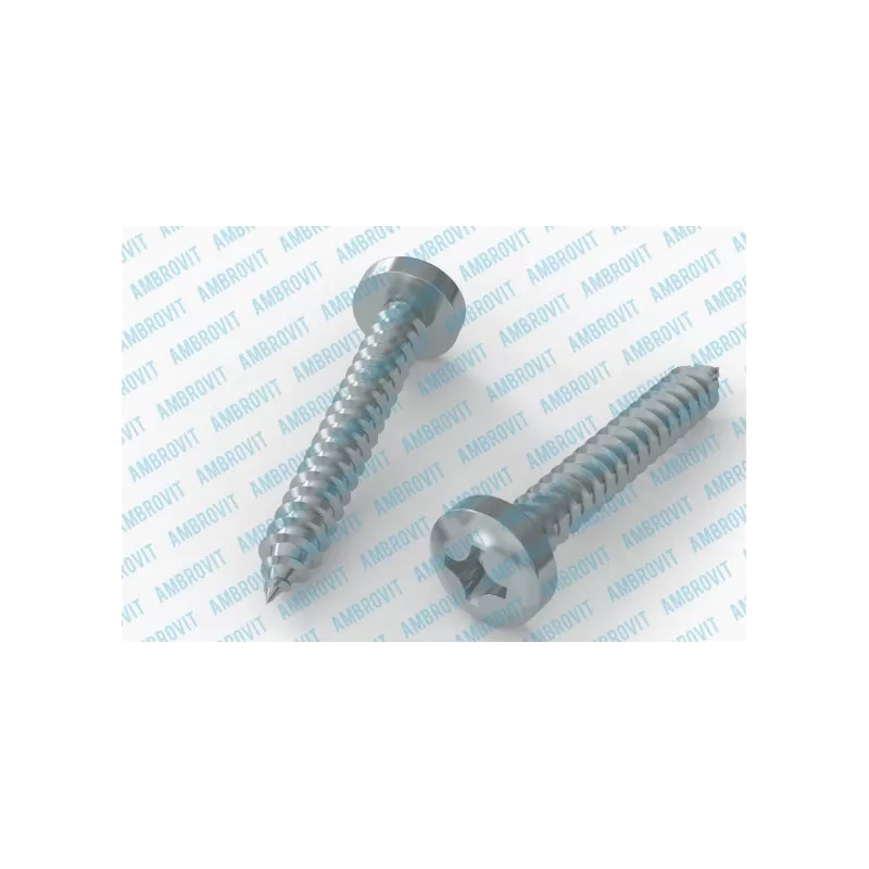 Ambrovit VITI AUTOFILETTANTI 6,3X16 MM TESTA CILINDRICA PH ZINCATE PZ 500 - Art. 79810 6,3X16 TG51