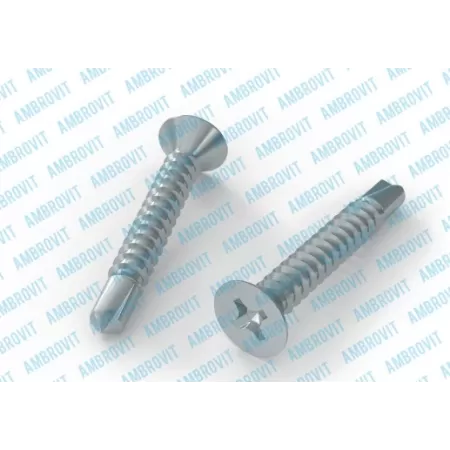 Ambrovit VITI AUTOPERFORANTI 3,9X25 MM TESTA SVASATA PIANA PH2 ZINCATE 1000 PEZZI* - Art. 81190 3,9X25 TG51