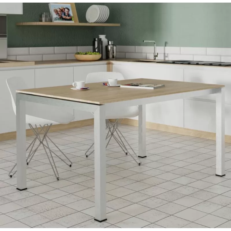 Ram Industrie STRUTTURA PER TAVOLI 90X140 CM COLORE NERO - Art. TS501400N