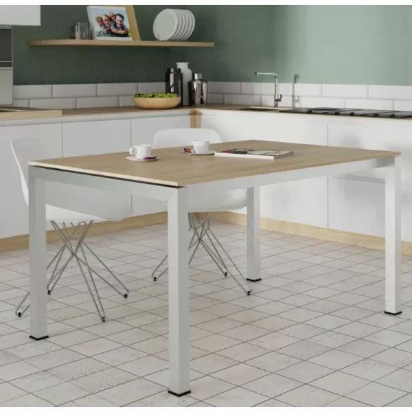 Ram Industrie STRUTTURA PER TAVOLI 90X140 CM ALTEZZA 75 CM COLORE ALLUMINIO - Art. TS501400A