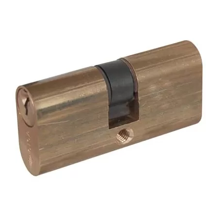  CILINDRO OVALE OTTONE 08210 CISA 3 CHIAVI 70 MM 30+40 Art.8210005
cilindro 70 mm
cilindro 30+40

