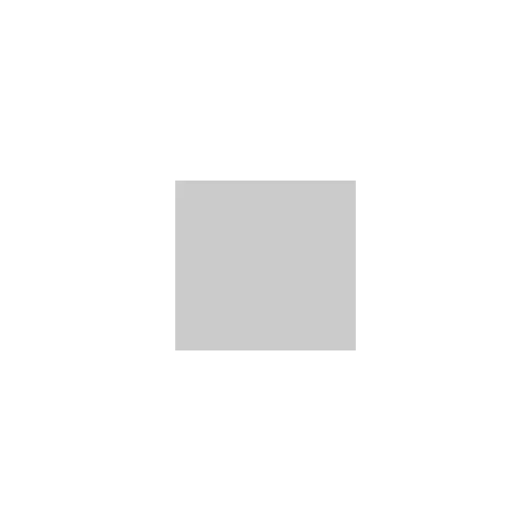 Sayerlack LACCATURA ALL'ACQUA PER INTERNO RAL 7047 KG 1* - Art. AT99/RAL7047