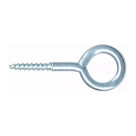  OCCHIOLO A VITE ZINCATO PUCCIONI 25X100 MM - Art. 4359048