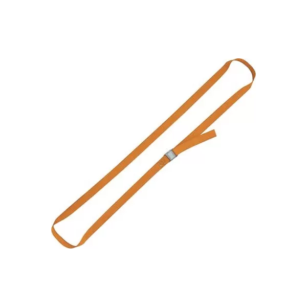 CINGHIA AD ANELLO 8188F ROBUR L.MT 2,5 H. 25 MM 100/200 KG - Art. 7543572