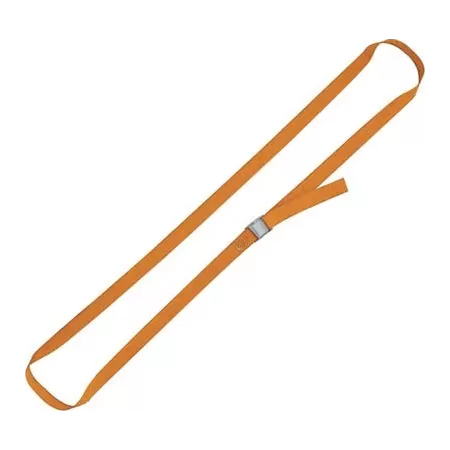 CINGHIA AD ANELLO 8188F ROBUR L.MT 5 H. 25 MM 100/200 KG - Art. 7543573