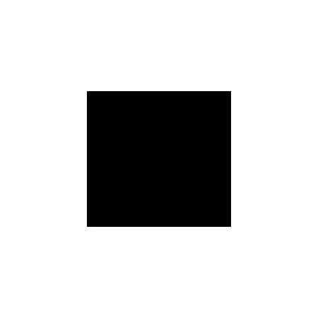 Sayerlack LACCATURA ALL'ACQUA PER ESTERNO KG 1 - Art. XA/RAL 9005