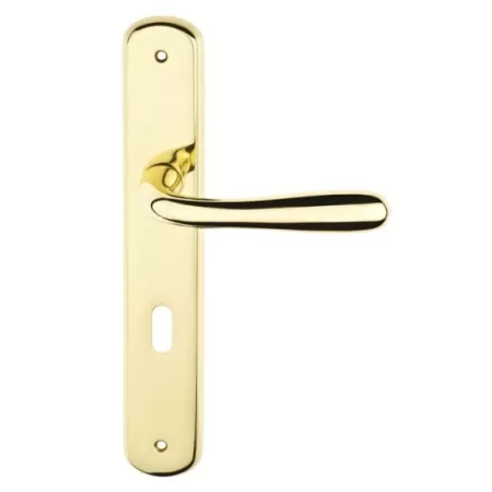 Comit MANIGLIA PER PORTA INTERNA GOCCIA SU PLACCA 70 MM ORO LUCIDO - Art. GOCPL15P70-Z1C