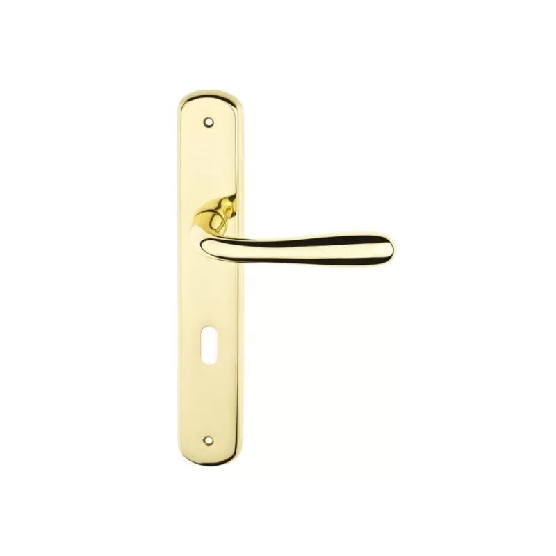 Comit MANIGLIA PER PORTA INTERNA GOCCIA SU PLACCA 70 MM ORO LUCIDO - Art. GOCPL15P70-Z1C