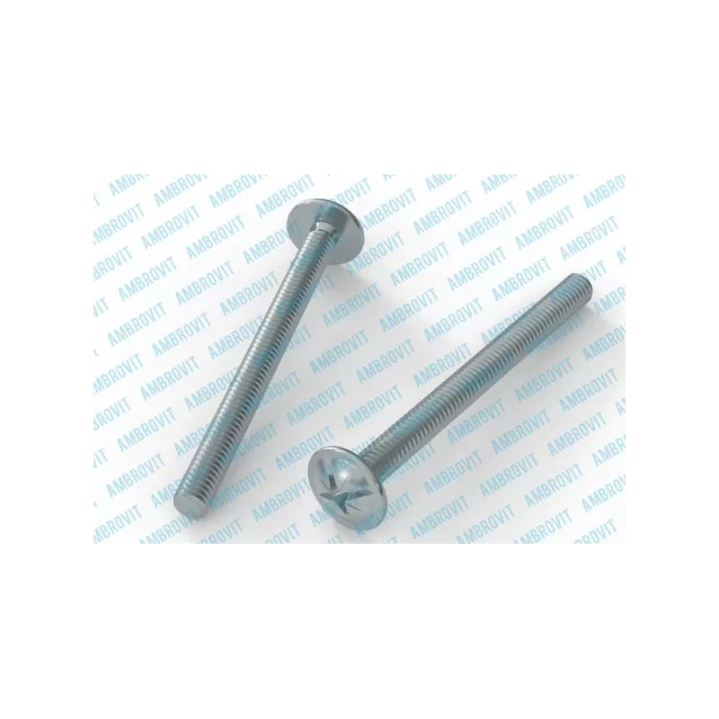 Ambrovit VITI TESTA BOMBATA LARGA COMBI RANELLATA PZ 2 ZINCATA PZ 500* - Art. 07800 4X60 TG51