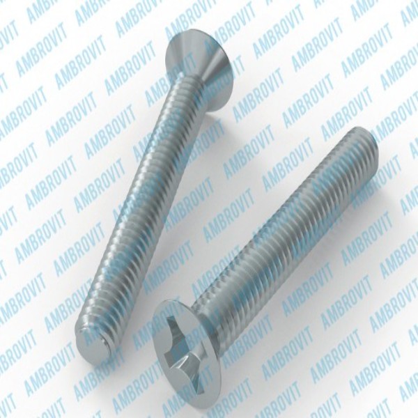 Ambrovit VITE METRICA TESTA SVASATA PIANA ZINCATA 1000 PZ* - Art. 09650 4X10 TG51