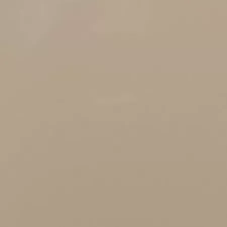 Sayerlack RAL 1019 LACCATURA OPACA POLIURETANICA PER INTERNO KG 1 - Art. RAL 1019