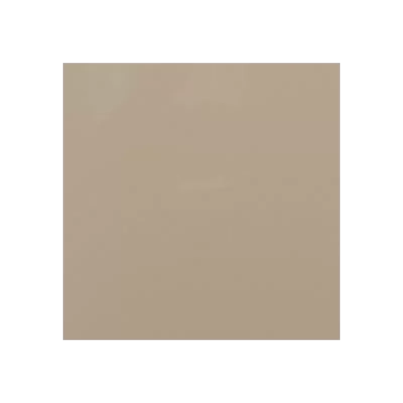 Sayerlack RAL 1019 LACCATURA OPACA POLIURETANICA PER INTERNO KG 1 - Art. RAL 1019