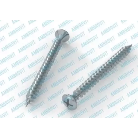 Ambrovit VITI INOX TRUCIOLARI 5X60 MM TESTA SVASATA PIANA 100 PEZZI - Art. 05057 5X60 TG0