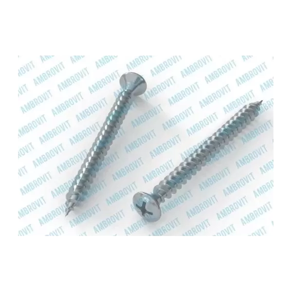 Ambrovit VITI INOX TRUCIOLARI 5X60 MM TESTA SVASATA PIANA 100 PEZZI - Art. 05057 5X60 TG0