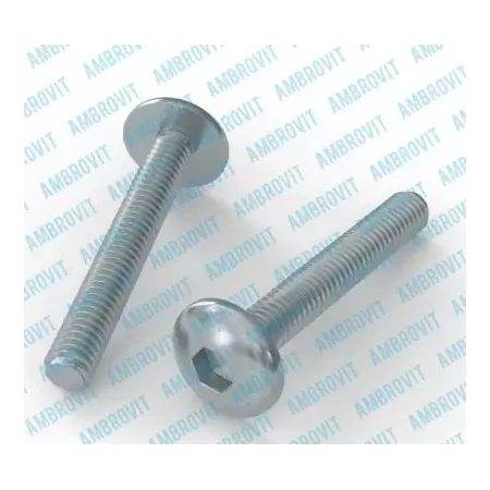 viti testa bombata larga esagono incassato 6X15 mm pezzi 500 ambrovit
