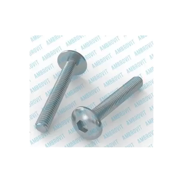 viti testa bombata larga esagono incassato 6X15 mm pezzi 500 ambrovit