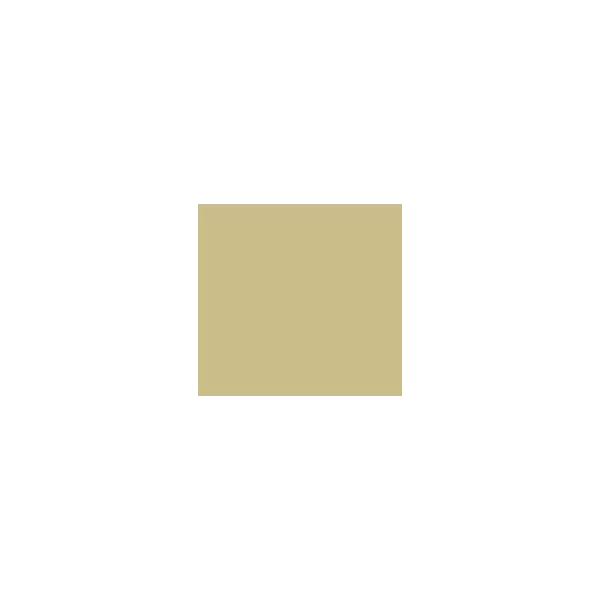 Sayerlack RAL 1000 LACCATURA OPACA POLIURETANICA PER INTERNO KG 1 - Art. RAL 1000