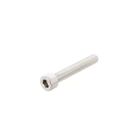 VITI INOX A2 TESTA CILINDRICA ESAGONO INCASSATO 6X16 MM