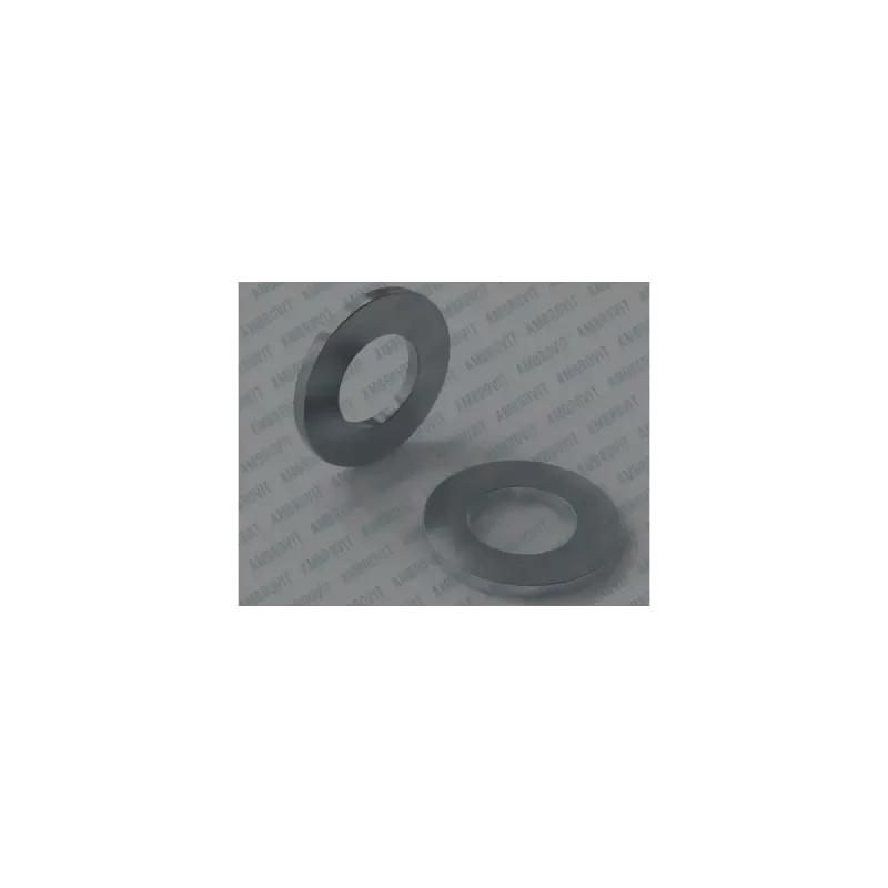 ambrovit rondella piana m22 pezzi 100 umipas