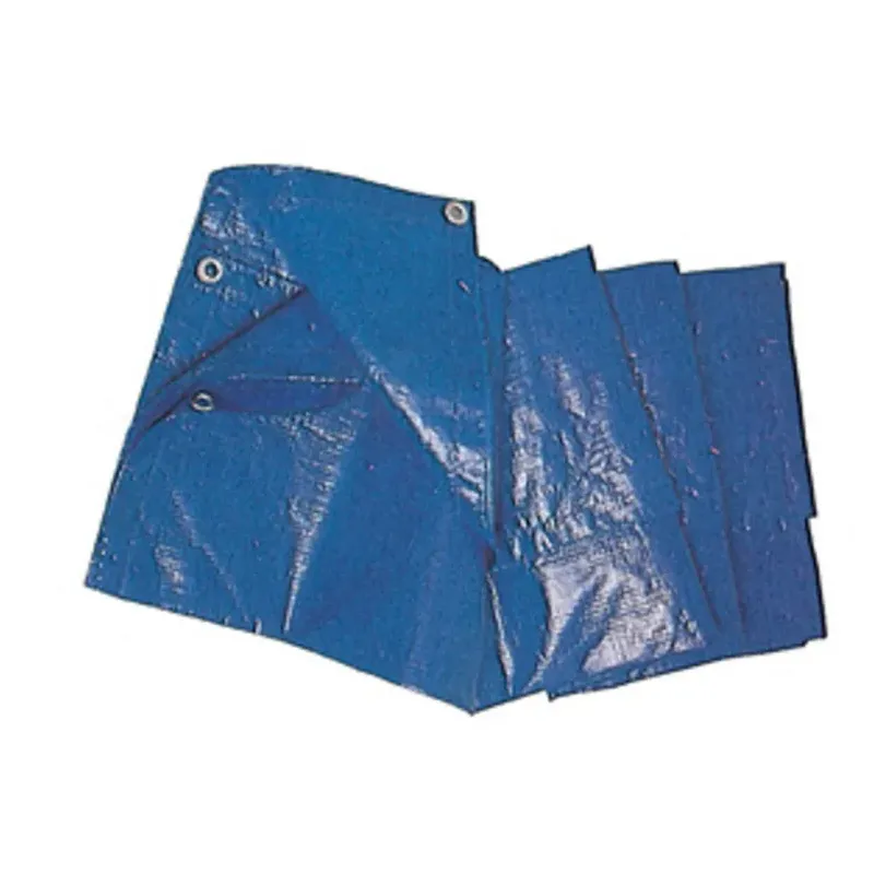 TELO COPRITUTTO IN POLIETILENE CON OCCHIOLI BLU RINFORZATI 5X6 M