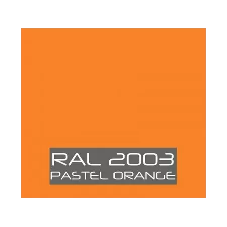 Sayerlack RAL 2003 LACCATURA OPACA POLIURETANICA PER INTERNO KG 1 - Art. RAL 2003